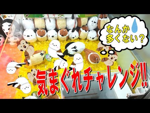 【UFOキャッチャー】気まぐれチャレンジ!!小さい景品をたくさん狙ってきたよ♪裏技でゲットできるかやってみたよ♪　(Random challenge!)