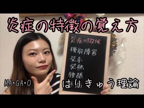 【はりきゅう理論】炎症反応の覚え方！【Biancaなざと】