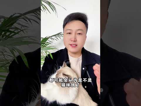 猫咪为什么在早上，最粘人？ 养猫经验分享 科学养宠攻略 养猫人 喵咪 新手养猫