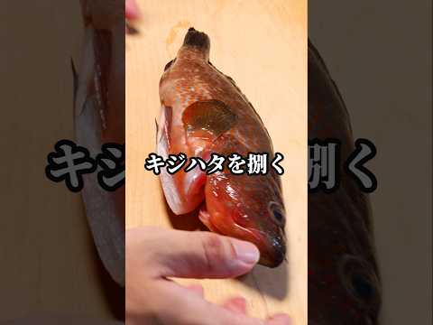 キジハタを三枚おろしで捌く #捌き方 #魚料理