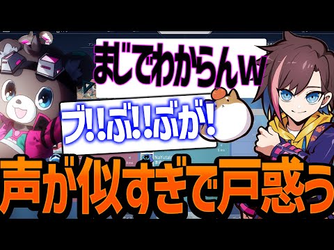 【配信者valoカスタム】白波らむねさんと神成きゅぴさんの声違い分かりますか？