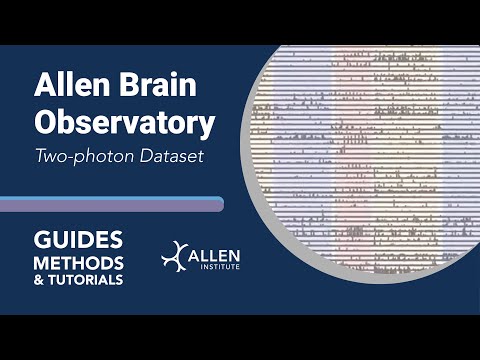 Allen Brain Observatory: Two-Photon Dataset | Tutorial