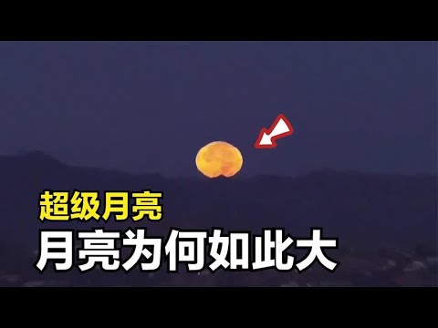 超级月亮来了！什么是超级月亮，月亮为何那么大？