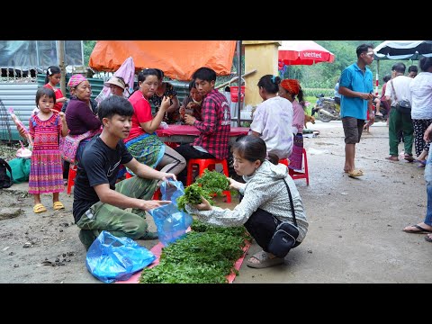 Harvest the young fern to market sell, gardening | Living off grid in forest