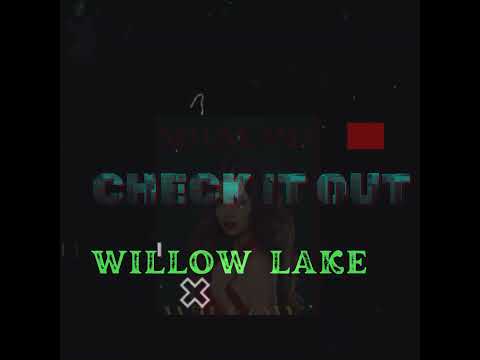 Willow Lake- A Mystery Suspense Novel #booknerd #booktok  #mystery #suspense   #romantic