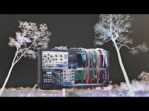 Generative Eurorack Tabla - (Ornament & Crime CopierMaschine)