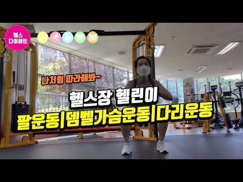 운동하는여자|등운동|팔운동|뎀벨가슴운동|다리운동