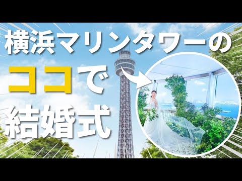 【横浜マリンタワーで結婚式】横浜の絶景を一望できる結婚式場に行ってみた｜結婚式場見学ツアー【マイナビウエディング】