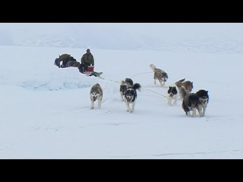 Dogsled arriving to the setting up camp area - Nanoq 2007 expedition