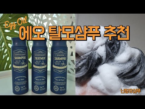 에오 탈모샴푸 난황유샴푸 추천 Egg Oil