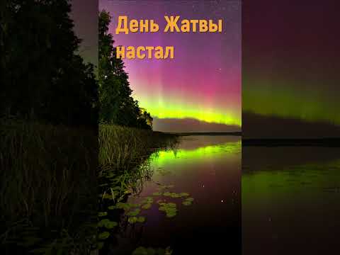 День жатвы настал - Христианские песни #shorts #деньжатвынастал