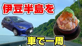 【200km超】伊豆半島を一周する国道135・136号を走破