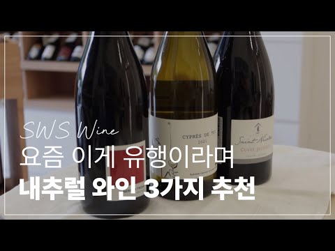 요즘은 다 이거 마신다면서? 내추럴 와인 3가지 추천🌿 | SWS