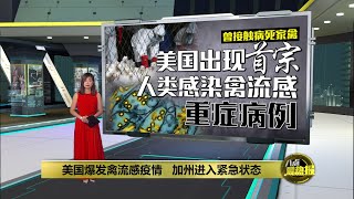 美国禽流感疫情持续扩大   加州宣布进入紧急状态 | 八点最热报 19/12/2024