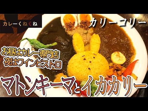 かわいい顔の2種盛りカレー!!夜はワインビストロ？【大阪・肥後橋】カリーコリー