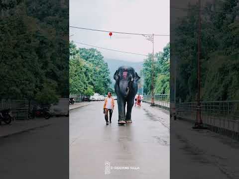 kukke subramanya temple | yashaswi