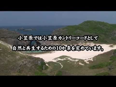 小笠原諸島 THE BONIN ISLANDS 05