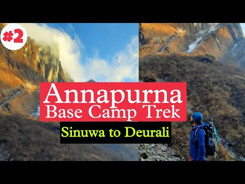 Annapurna Base Camp Trek 🇳🇵- E02 | Sinuwa to Deurali |  Bamboo #abctrek