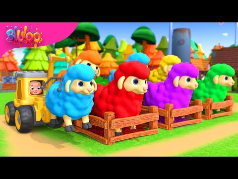 Learn colors with Baa Baa Black Sheep | BluLoo Nursery Rhymes & Kids Songs