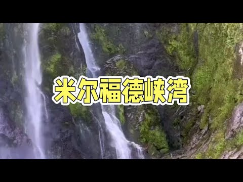 米尔福德峡湾Milford Sound#米尔福德峡湾#新西兰#旅游