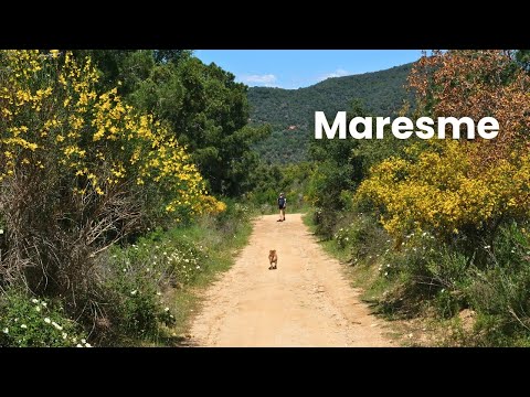 Silent Hiking on the Spanish Coast (Sant Pol de Mar, Barcelona)