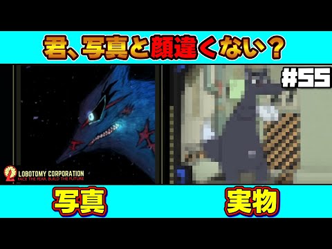 【 lobotomy corporation ＃55 】ついに来た！赤ずきんの傭兵VS大きくて悪いオオカミ！因縁の対決はどちらが勝つのか？【 ロボトミー コーポレーション 実況 】