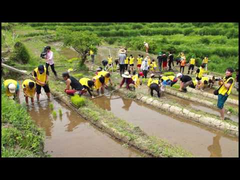 2017/6/24 ダンロップ主催田植えイベント in上山