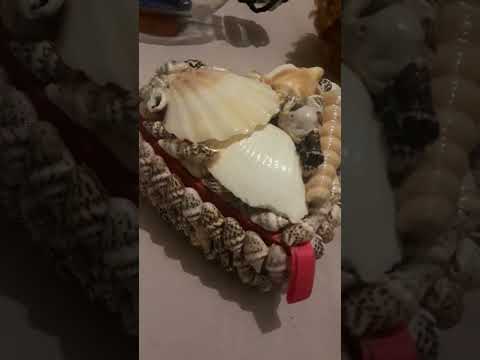 Seashell Box