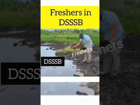 Freshers in DSSSB😁  Aspirants 💔#dsssb #shorts #viral #motivation #study #reels