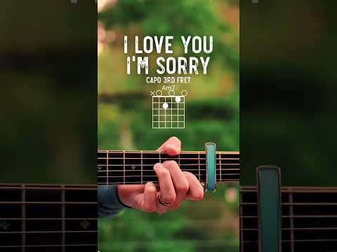 I Love You, I'm Sorry Gracie Abrams Guitar Tutorial // I Love You, I'm Sorry Guitar Lesson