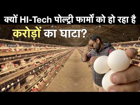 Automated Broiler Layer Poultry Farm Business plan Farm Karnal india मुर्गी पालन लोन जानकारी