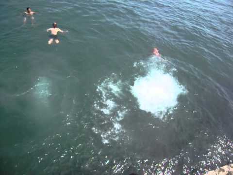 Lyme Regis diving