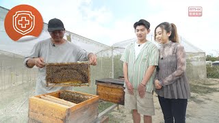 【講飲講食講健康】鮮甜蜂蜜即採即食