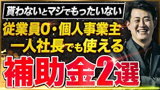 【2024年版】従業員0･個人事業主でも使える補助金2選/中小企業診断士が解説/一人社長･小規模事業者･中小企業経営者にも必ず使ってほしい小規模事業者持続化補助金と省力化補助金