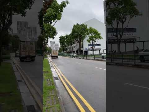 Farrer park #singapore #indiatosingapore #ytshorts #shorts #farrerpark #singaporelife #singaporean