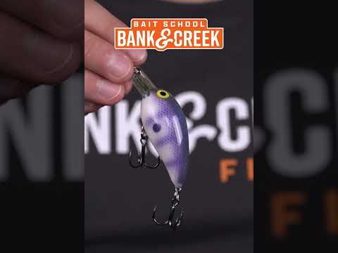 Exclusive Crankbait Available for Limited Time ONLY!