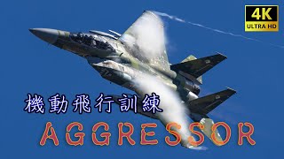 [AirShowTraining] 小松基地航空祭予行 -アグレッサー AGR-