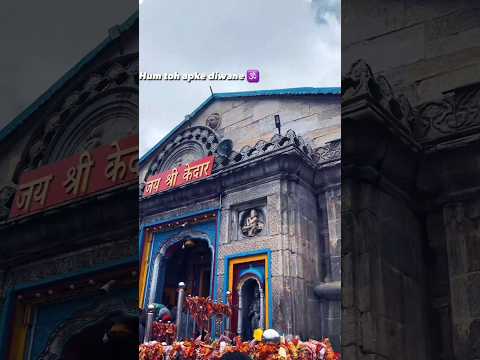 Mahadev ♥️ kedarnath temple #mahadev #kedarnathdham #kedarnathtemple #kedarnath#shorts #ytshort