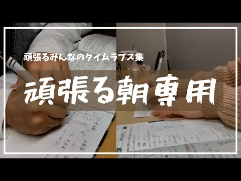 【10時間勉強する朝に】頑張るみんなの勉強タイムラプス集