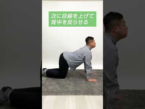 正しい姿勢のためのストレッチ【キャットアンドカウ】！背中をほぐせば血流改善とリラックス効果も！ #shorts