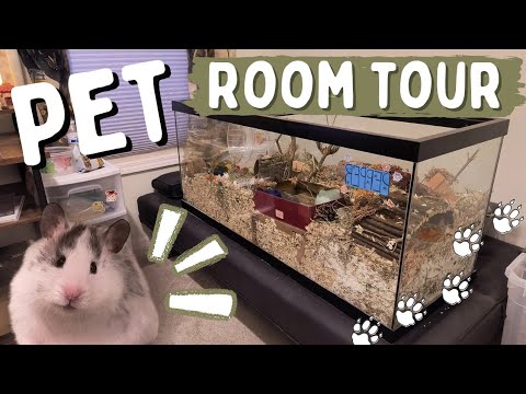 Pet Room Tour 🐹🌿 // where my hamster lives + hamster cage tour