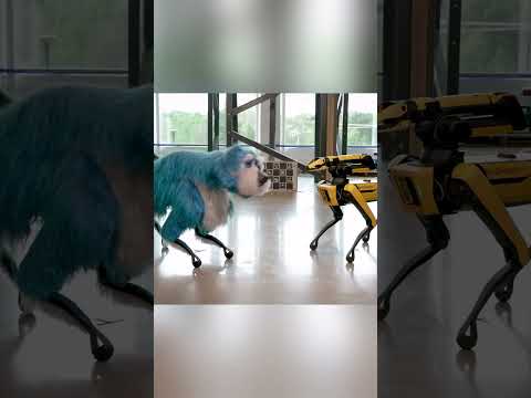 Sparkles by Boston Dynamics