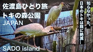 【JAPAN Travel：Sado Island: Niigata】Island Trip Vlog in Japan's second largest island