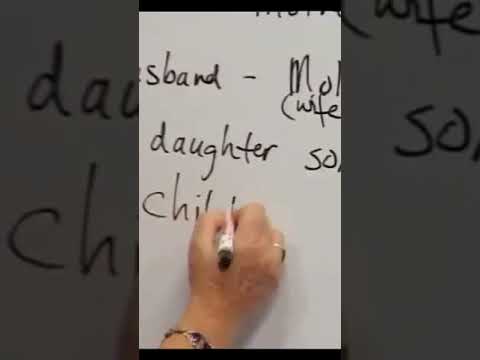 Let's Start English 35 - Lesson 6 / My Family | Beginner Levels #shorts