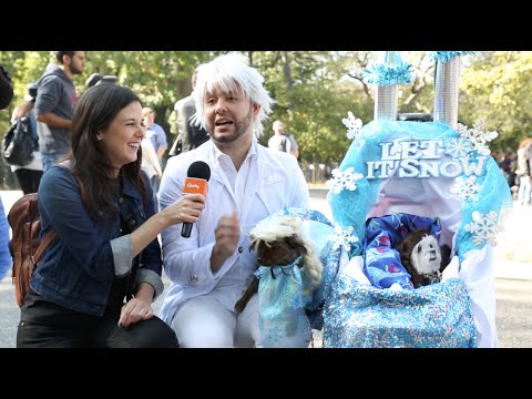 Invention on the Street: Halloween Dog Parade