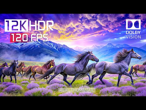 BEST OF Dolby Vision 12K HDR 120FPS