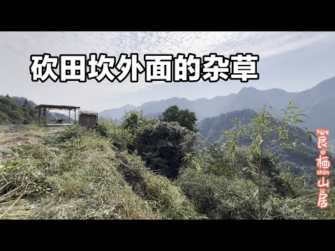 把田坎外面的杂草砍掉之后，准备改造菜园子了，大家有什么好建议