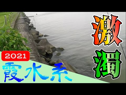 【バス釣り】8月中旬‗霞ヶ浦・利根川‗大雨激濁り増水でもトップ連続5バイト！！計7バイト‗ポイントはあのルアーに秘密が？・・2021年8月13日‗牛堀