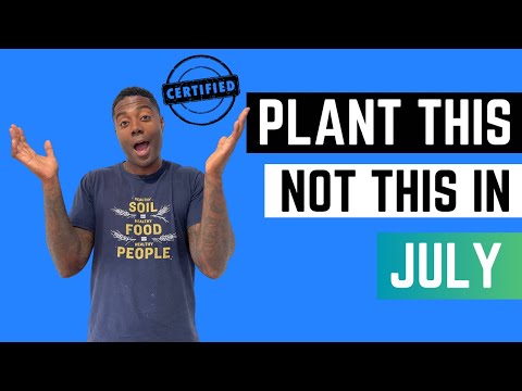 What can I plant this month? July Planting Schedule : Zone 9