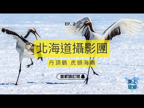 ✈圓夢之旅✈日本北海道攝影團【海上捕捉虎頭海鵰的蹤影】EP.2